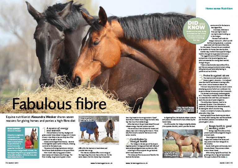 Fabulous fibre