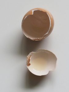 A top-down view of a broken eggshell on a white background.