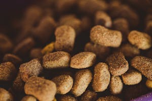 Brown dog kibble.